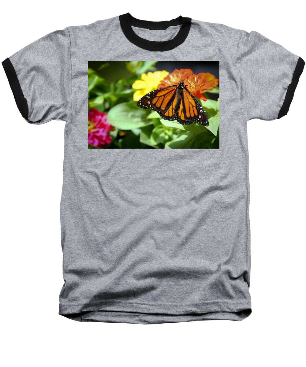 Butterfly Baseball T-Shirt featuring the photograph Beautiful Monarch Butterfly by Patrice Zinck