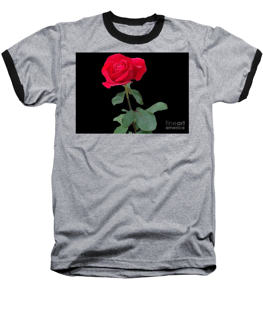 Rose Baseball T-Shirt featuring the photograph Beautiful Red Rose by Janette Boyd
