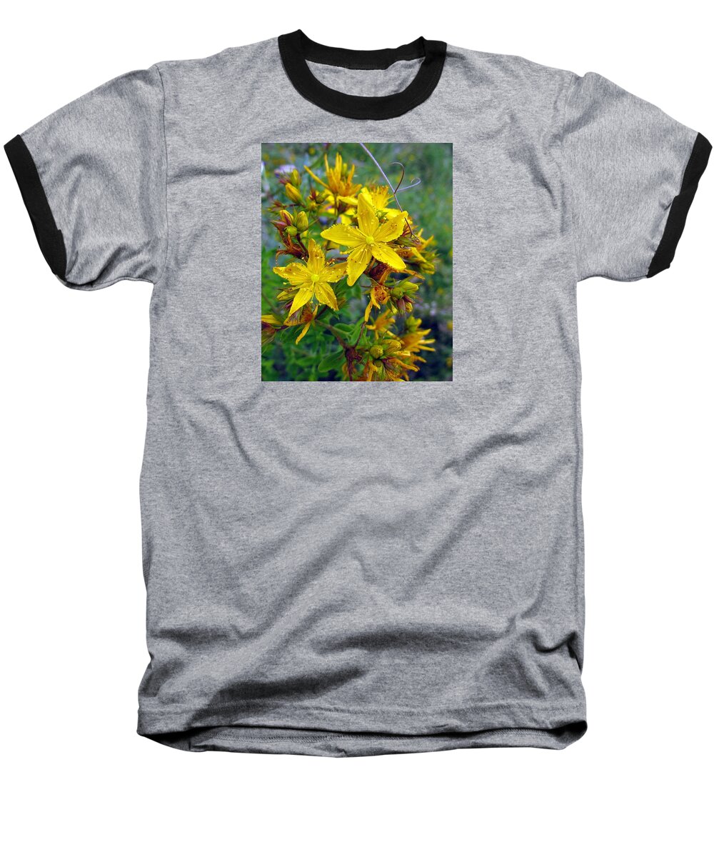 Flowers Baseball T-Shirt featuring the photograph Beauty in a weed by I'ina Van Lawick