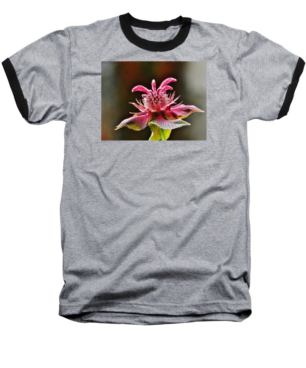 Flower Baseball T-Shirt featuring the photograph Bee Balm's Beauty by VLee Watson