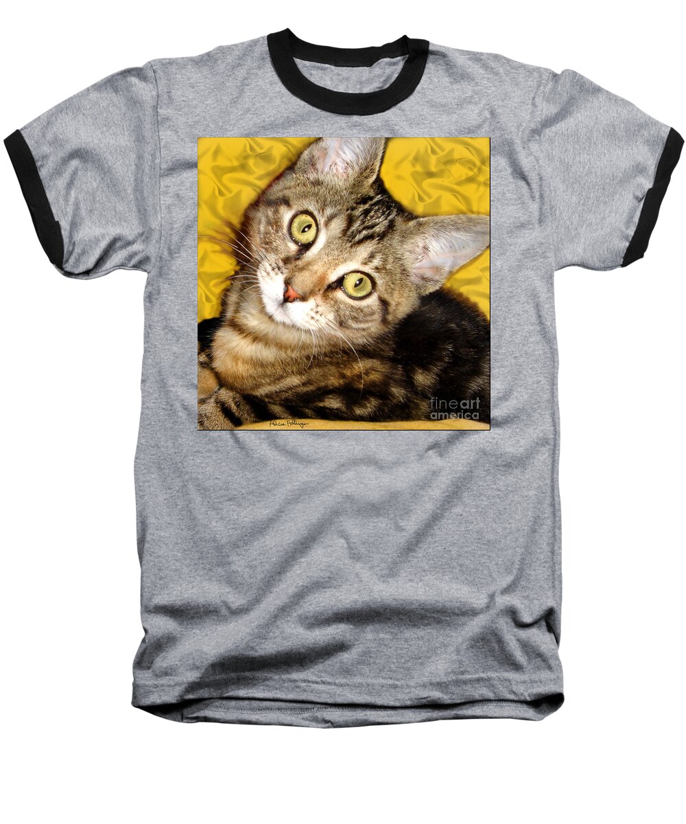 Cat Baseball T-Shirt featuring the mixed media Bengal Cat Kitten by Alicia Hollinger