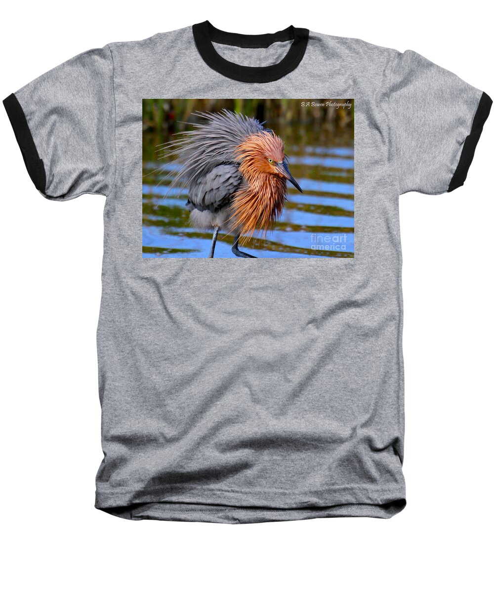 Reddish Egret Baseball T-Shirt featuring the photograph Big Red all fuzzed out by Barbara Bowen