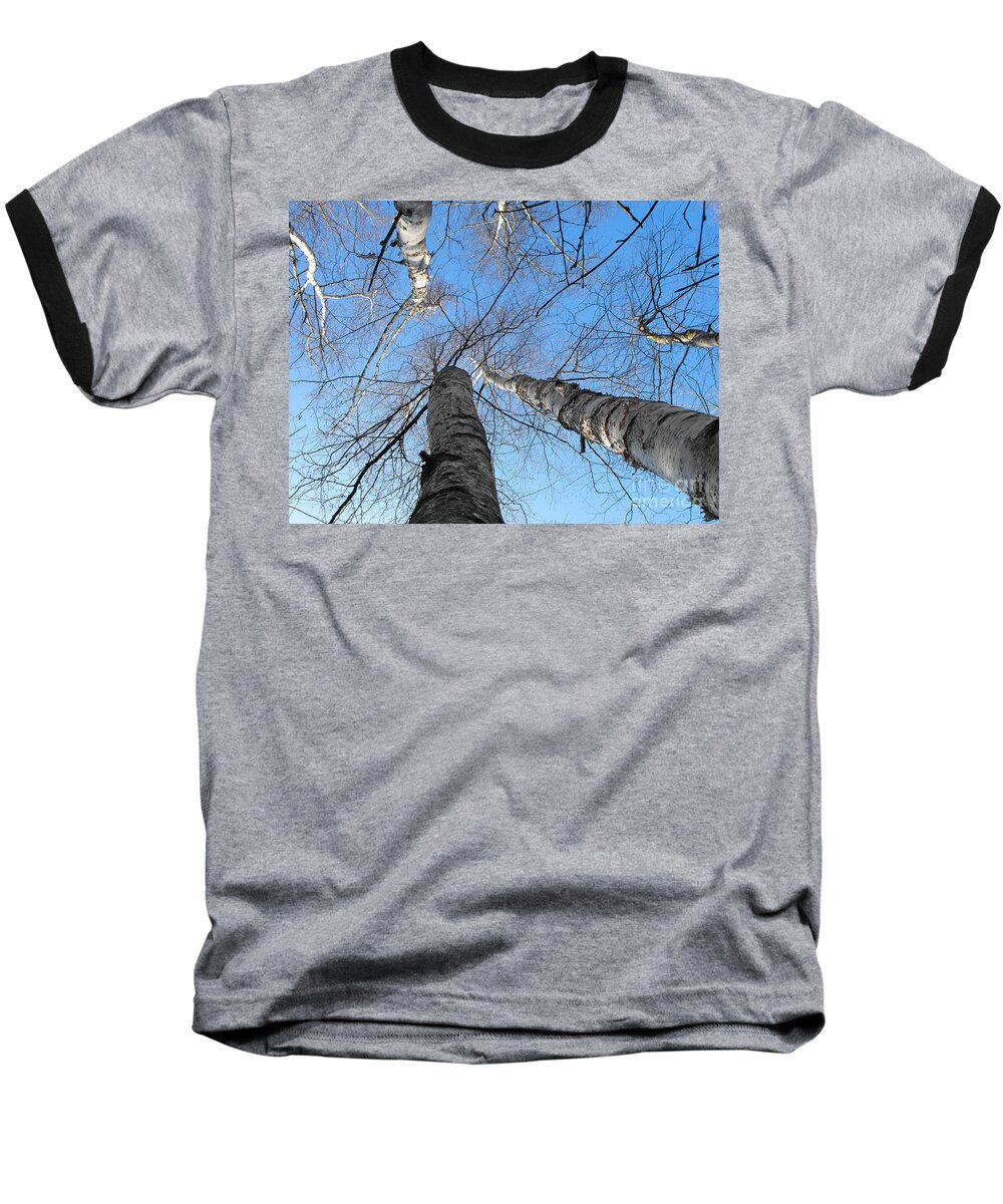 Tree Baseball T-Shirt featuring the photograph Birch Group in Winter by Erick Schmidt