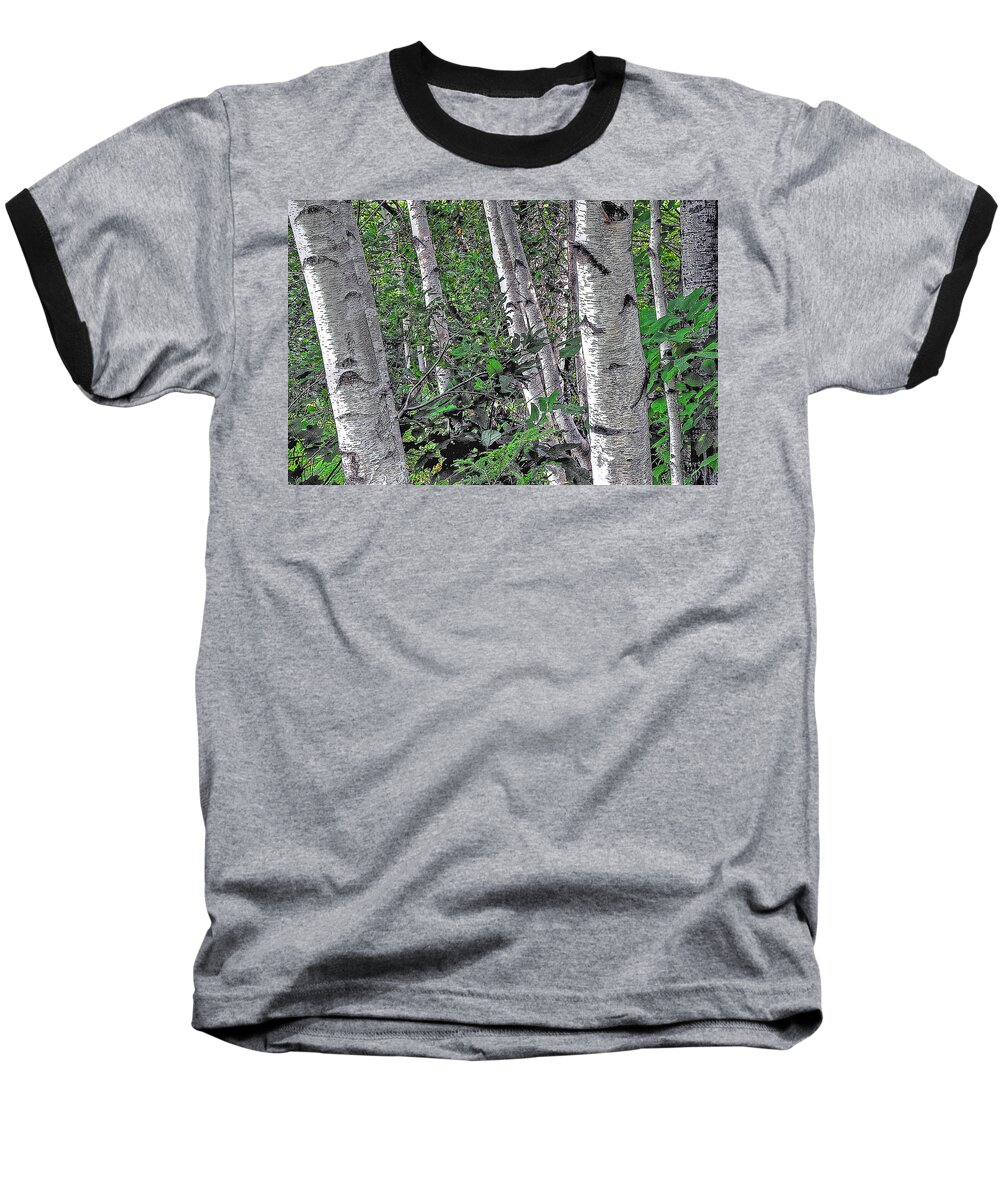 Trees Baseball T-Shirt featuring the photograph Birches by Phyllis Meinke