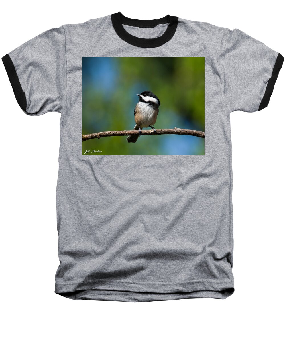 Animal Baseball T-Shirt featuring the photograph Black Capped Chickadee Perched on a Branch by Jeff Goulden