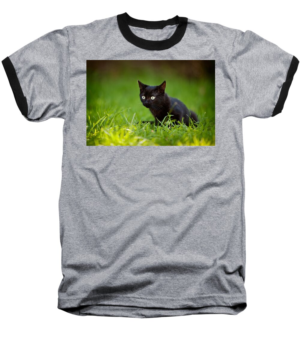Black Cat Baseball T-Shirt featuring the photograph Black Kitten by Ian Good