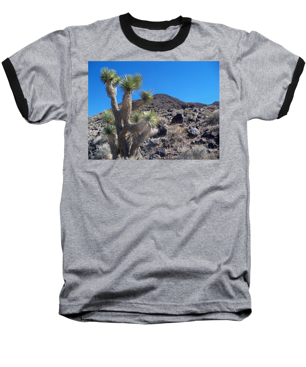 Landscape Baseball T-Shirt featuring the photograph Black Mountain Yucca by Alan Socolik