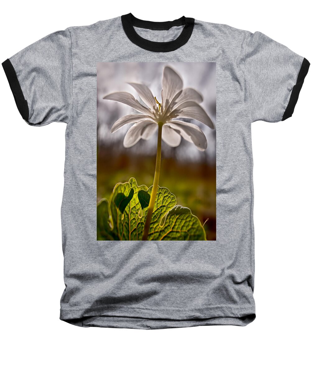 2011 Baseball T-Shirt featuring the photograph Bloodroot by Robert Charity