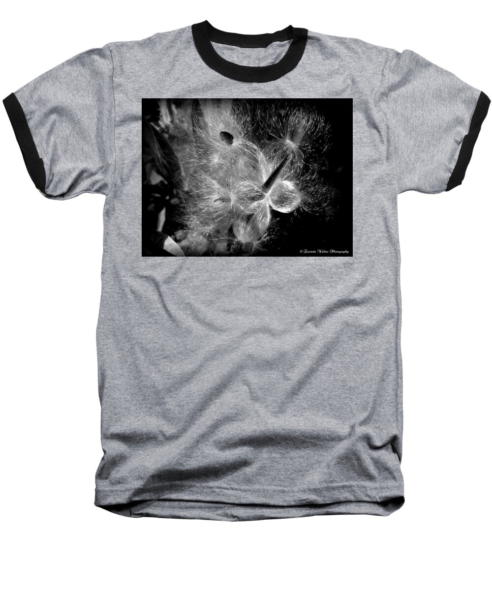 Milkweed Baseball T-Shirt featuring the photograph Blowing in the Wind by Lucinda Walter