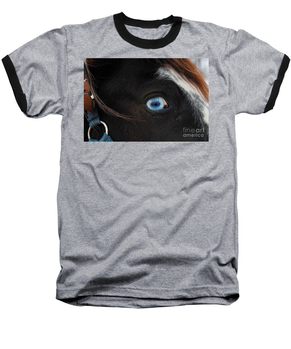 Horse Baseball T-Shirt featuring the photograph Blue Eyed Horse by Janice Byer