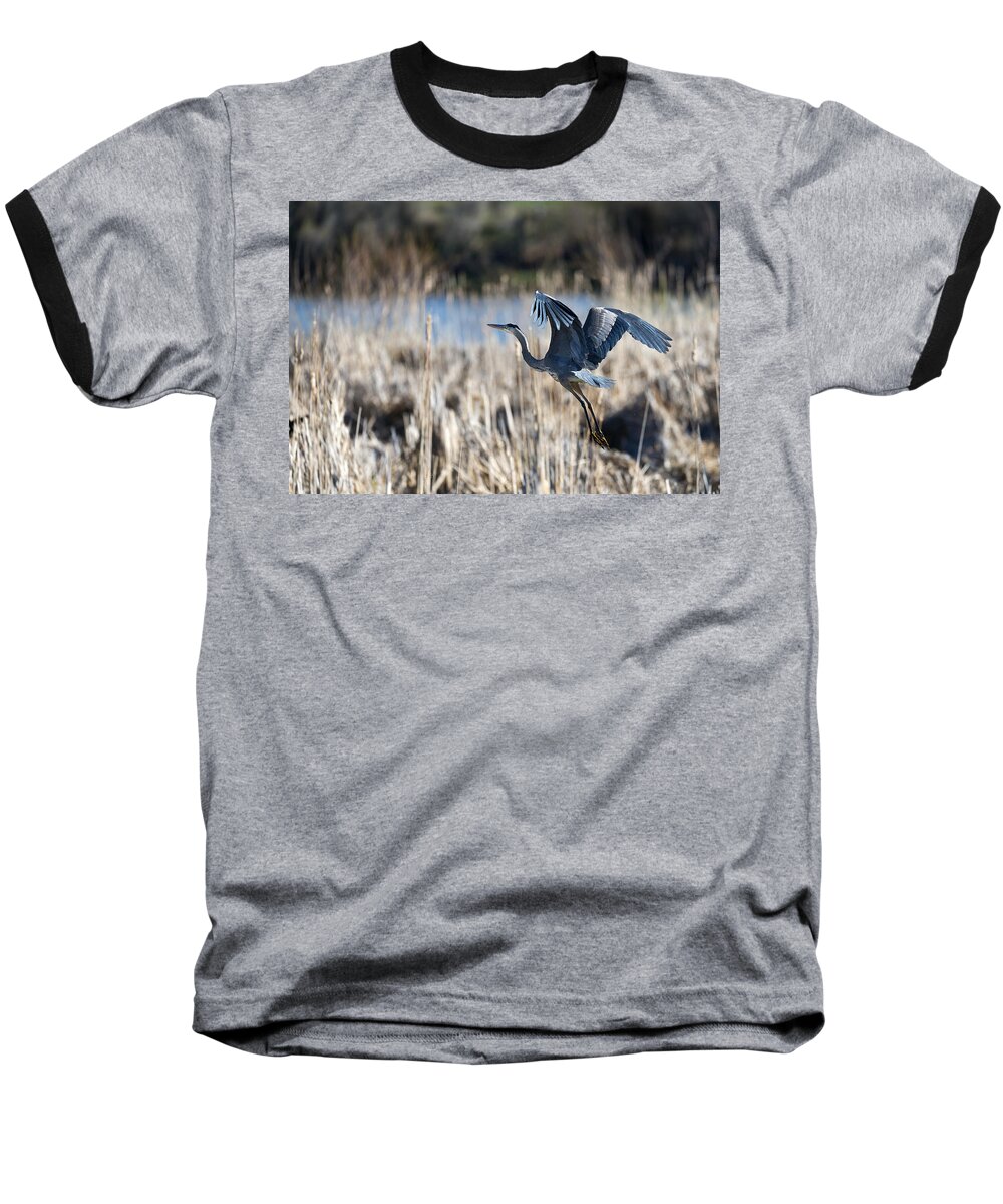 Beautiful Baseball T-Shirt featuring the photograph Blue Heron 1 by Roger Snyder
