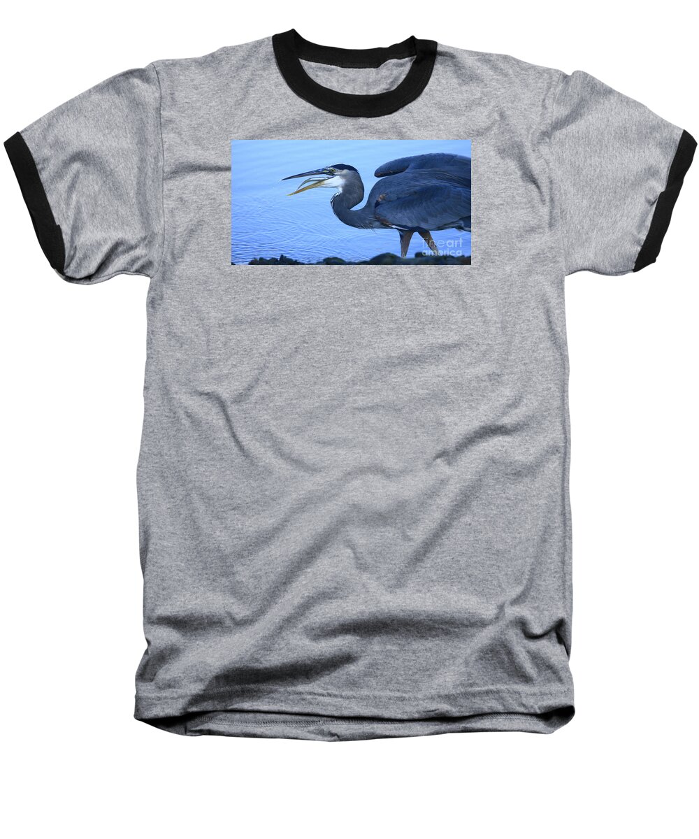 Landscapes Baseball T-Shirt featuring the photograph Blue Heron Gulp by John F Tsumas