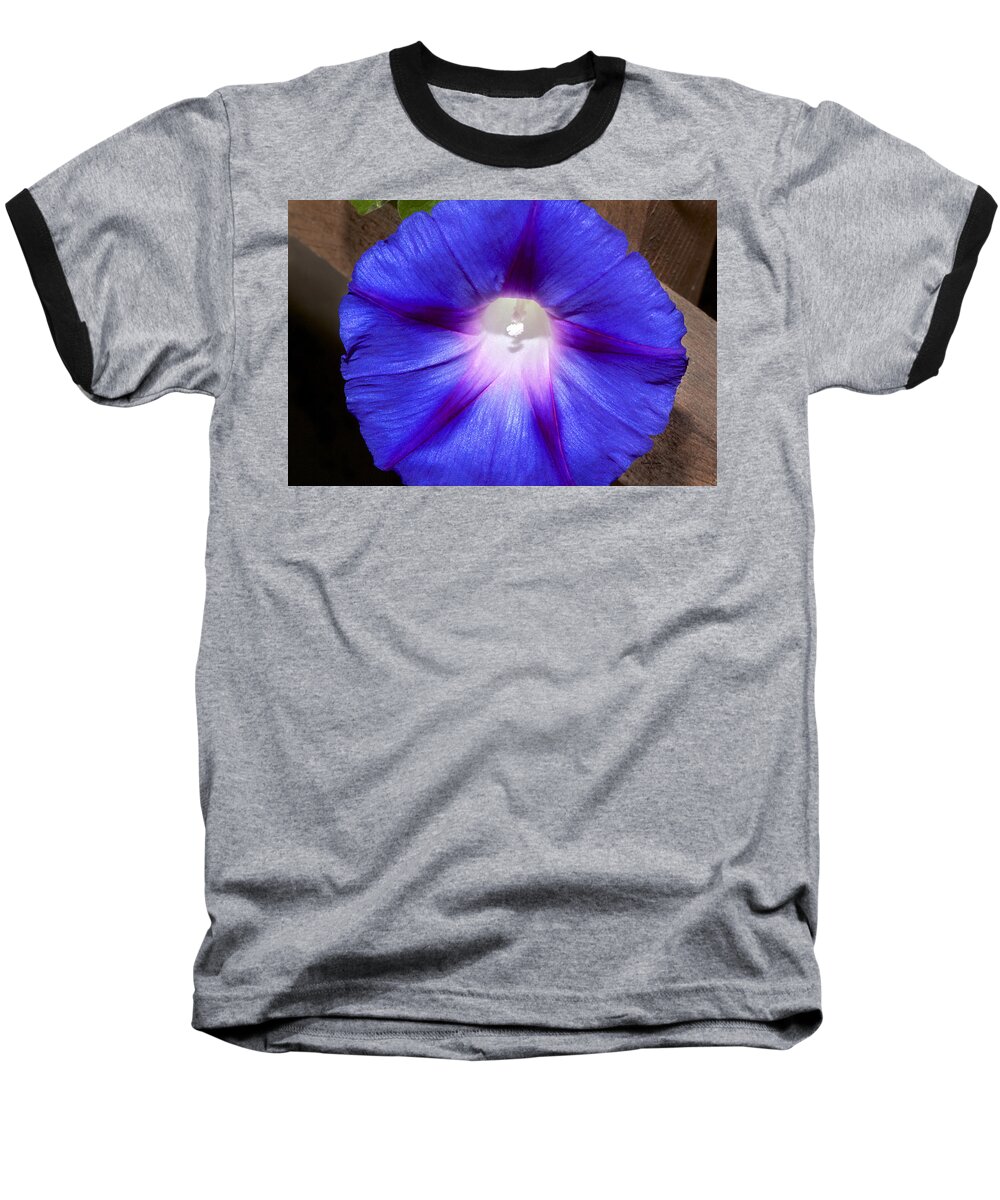 Flower Baseball T-Shirt featuring the photograph Blue Morning Glory by Phyllis Denton