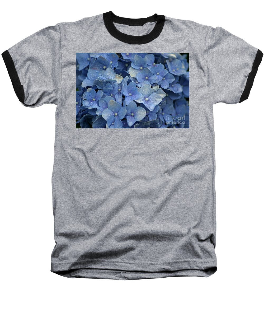 Hydrangea Baseball T-Shirt featuring the photograph Blue Over You With Tears by Living Color Photography Lorraine Lynch
