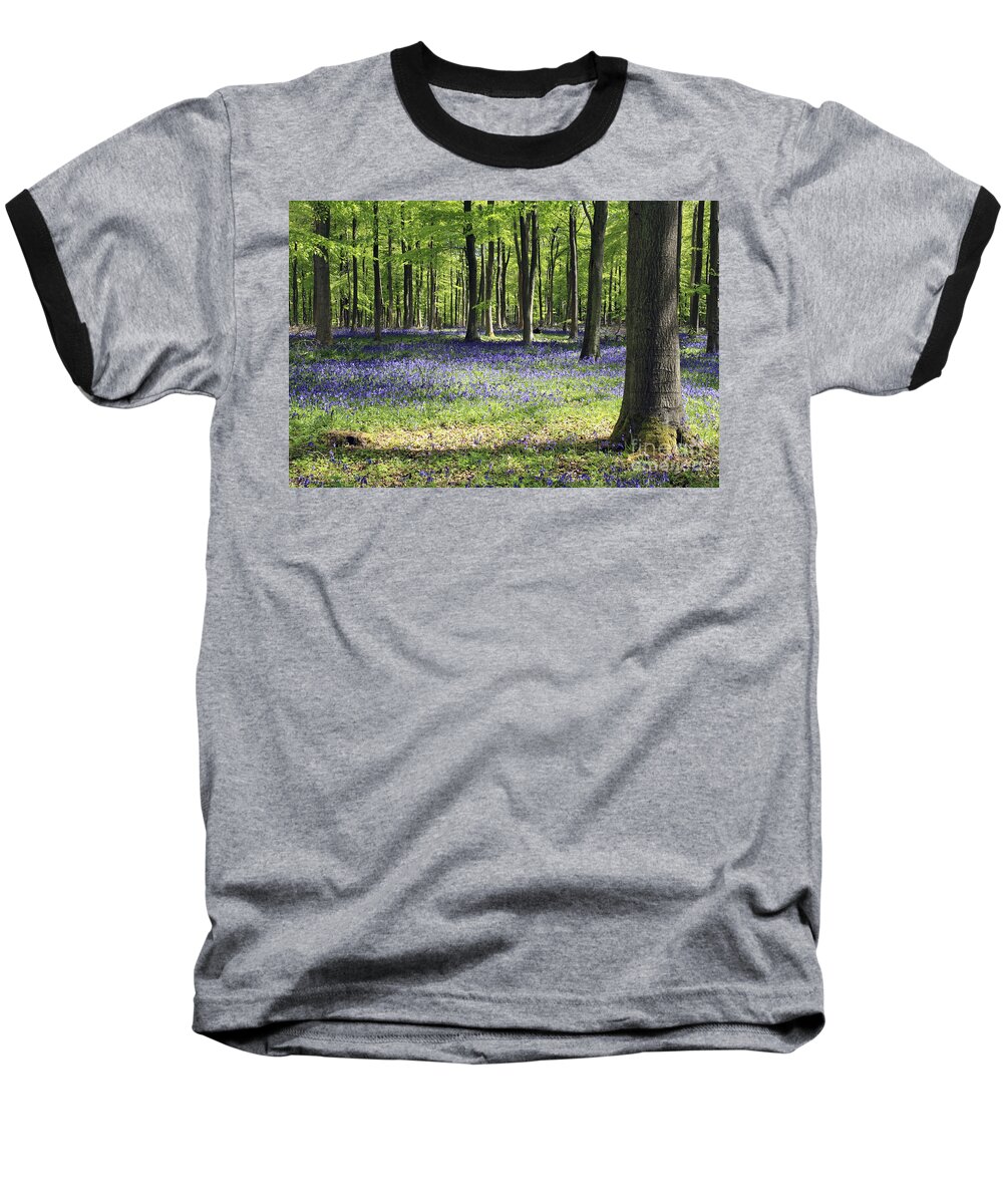 Bluebell Wood Uk Bluebells Forest Beech Tree Trees English Landscape Countryside Woodland Spring Summer Surrey Baseball T-Shirt featuring the photograph Bluebell Wood UK by Julia Gavin