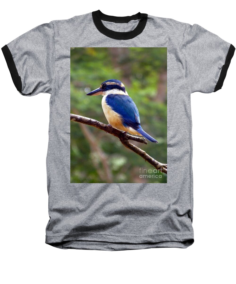 Kingfisher Baseball T-Shirt featuring the photograph Bluebird in Suva Fiji by Barbie Corbett-Newmin