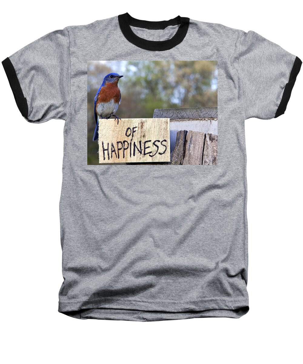 Bluebird Baseball T-Shirt featuring the photograph Bluebird of Happiness by John Crothers