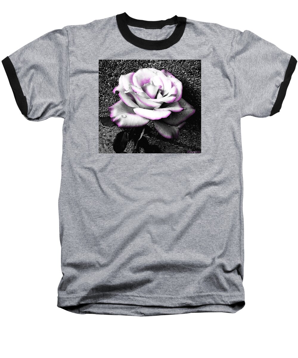 Black And White Rose Baseball T-Shirt featuring the photograph Blushing White Rose by Shawna Rowe