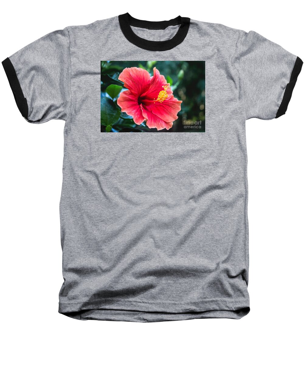 Hibiscus Baseball T-Shirt featuring the photograph Bold And Beautiful by Arlene Carmel