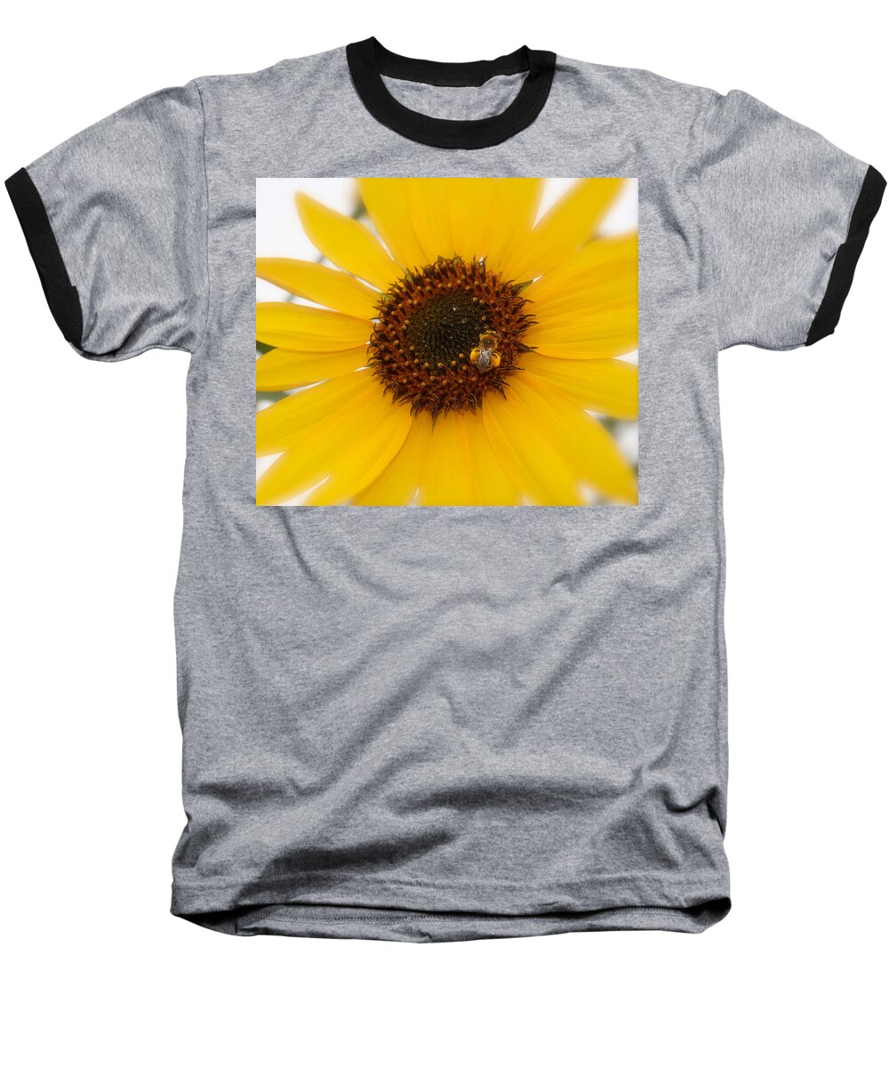 Single Vibrant Bright Yellow Sunflower Honey Bee Print Baseball T-Shirt featuring the photograph Vibrant Bright Yellow Sunflower With Honey Bee by Jerry Cowart