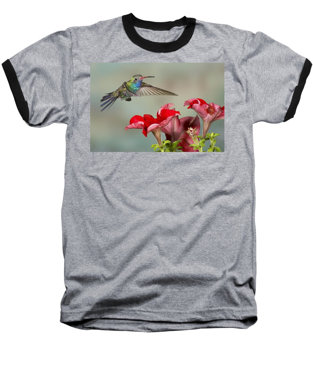 Action Baseball T-Shirt featuring the photograph Broad billed Hummingbird 4 by Jack Milchanowski