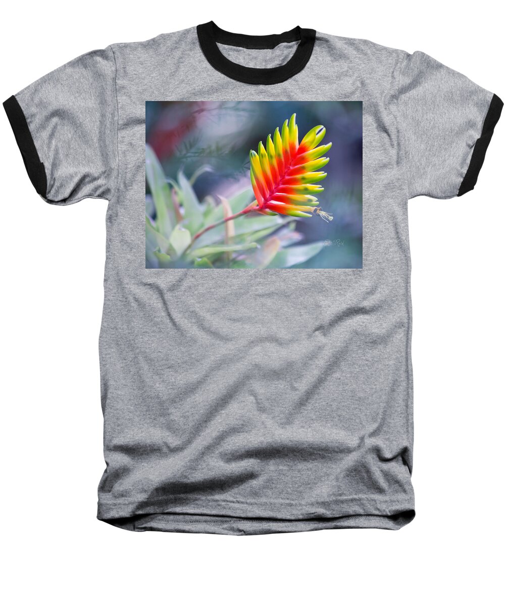 Bromeliad Baseball T-Shirt featuring the photograph Bromeliad beauty by Eti Reid