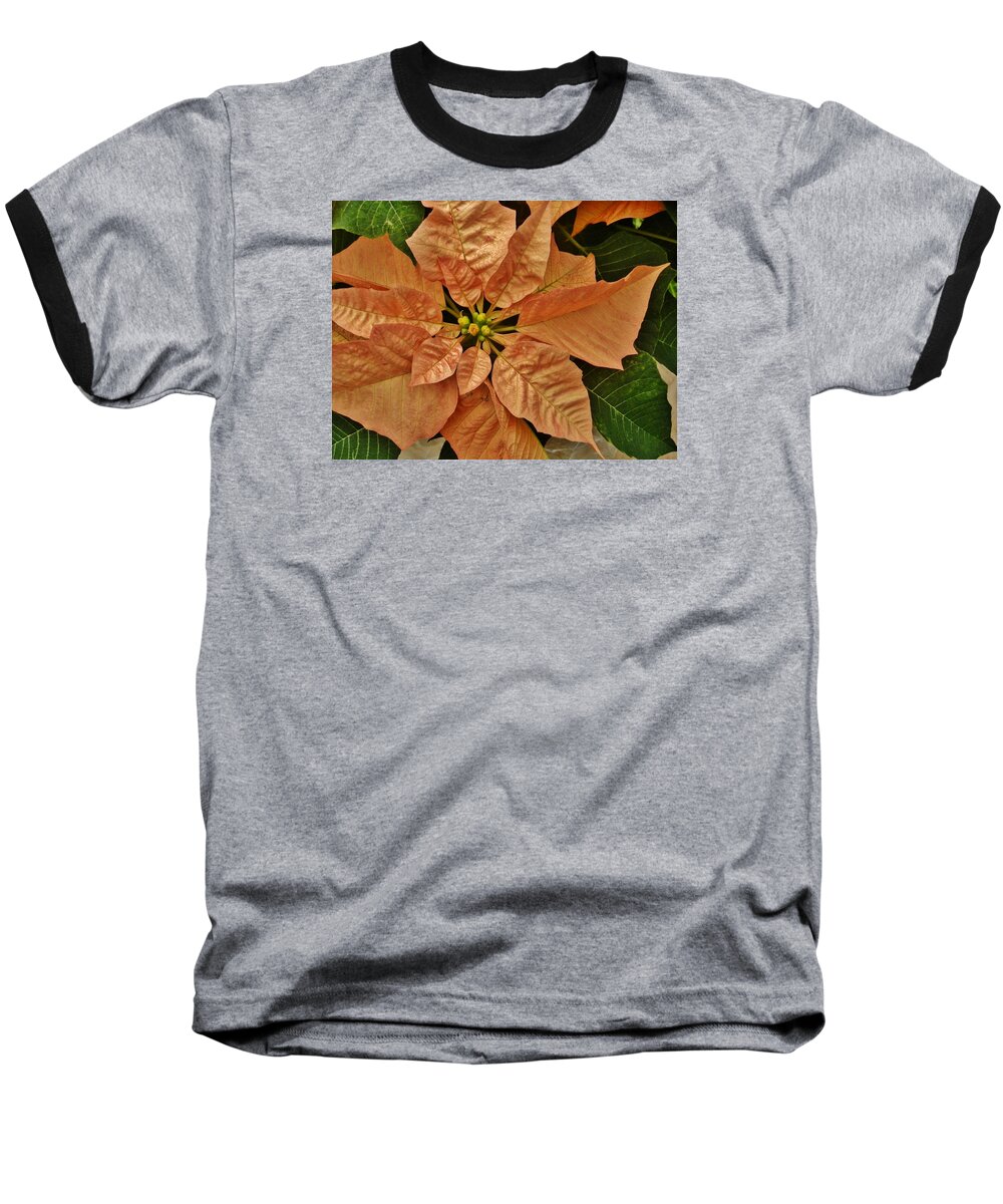 Flower Baseball T-Shirt featuring the photograph Bronze Poinsettia 3 by VLee Watson