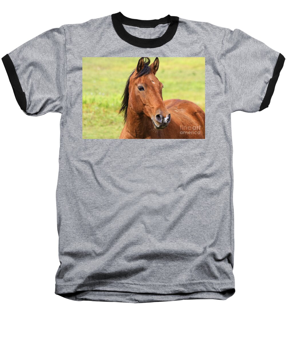 Horse Baseball T-Shirt featuring the photograph Brown Beauty by Deborah Benoit