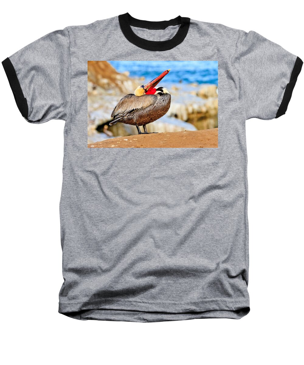 Pelican Baseball T-Shirt featuring the photograph Brown Pelican Mating Season Display by Ben Graham