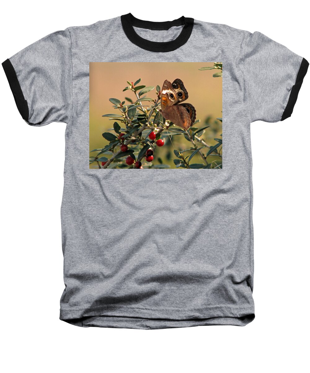 Nature Baseball T-Shirt featuring the photograph Buckeye Beauty by Peggy Urban