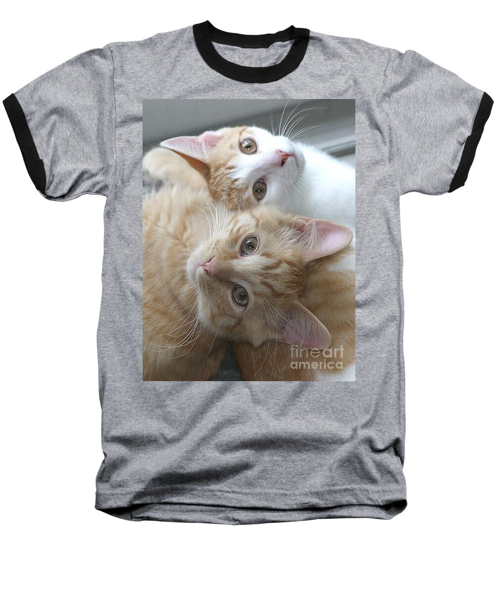 Cats Baseball T-Shirt featuring the photograph Buddies For life by Living Color Photography Lorraine Lynch