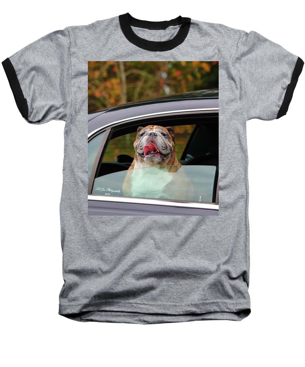 English Bulldog Baseball T-Shirt featuring the photograph Bulldog Bliss by Jeanette C Landstrom