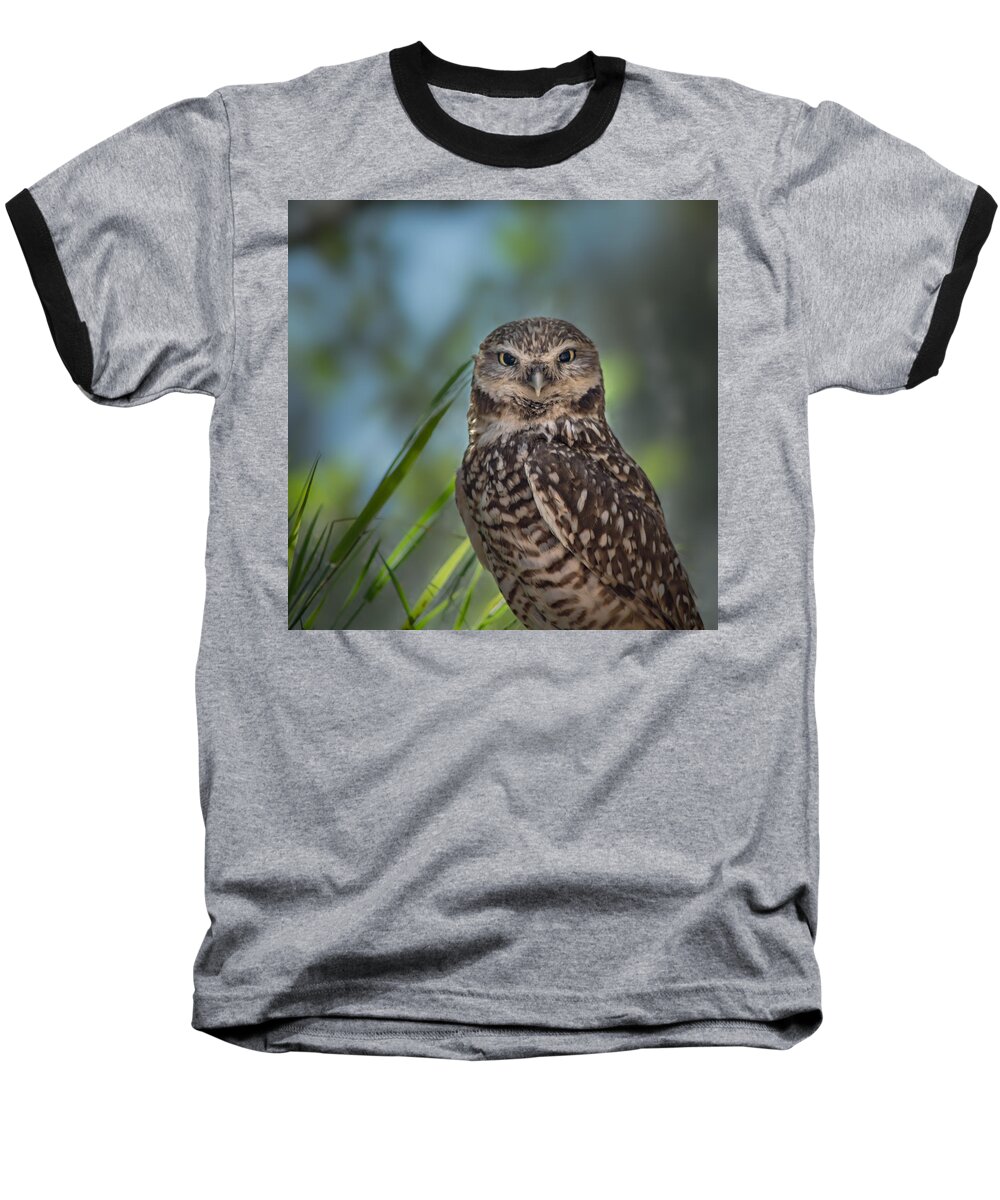 Owl Baseball T-Shirt featuring the photograph Burrowing Owl by Linda Villers