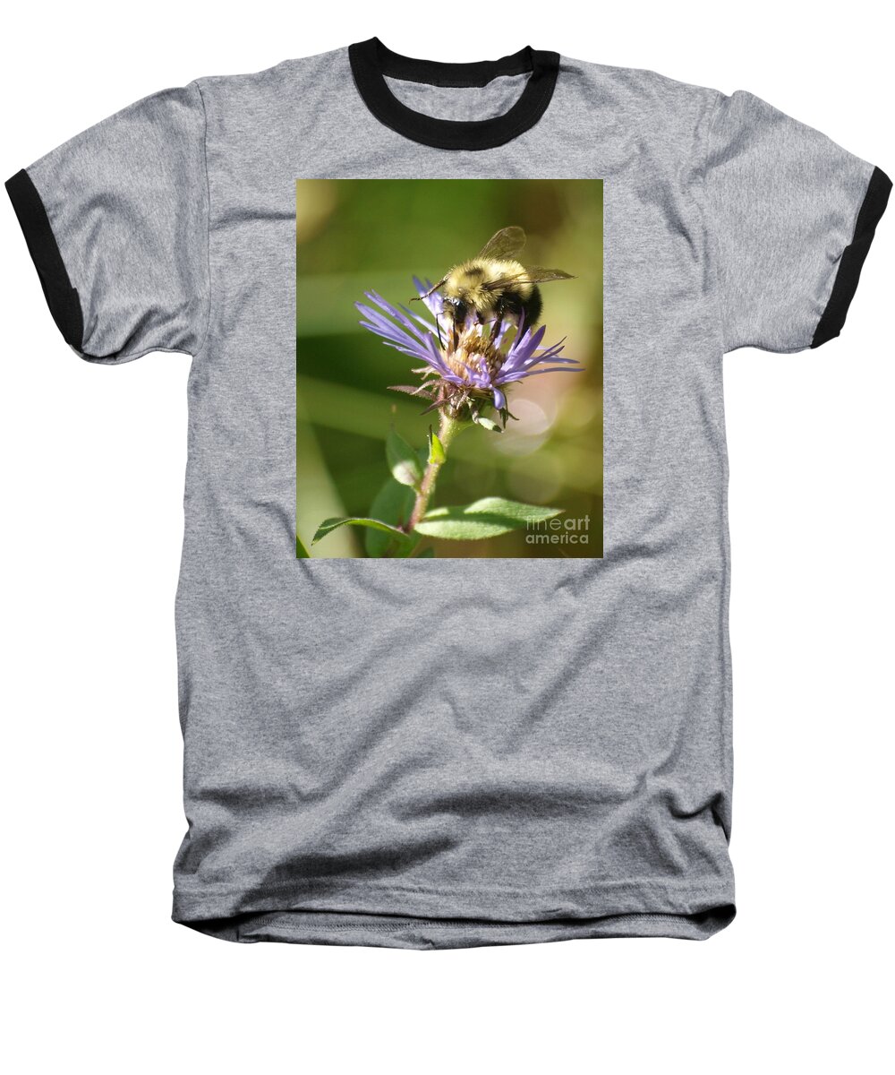 Bee Baseball T-Shirt featuring the photograph Busy Bee by Vivian Martin