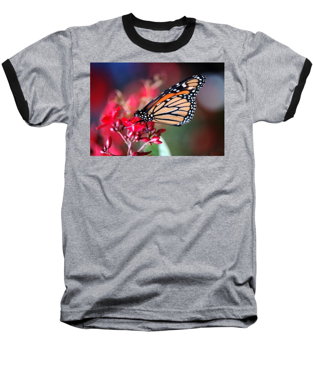 Butterfly Baseball T-Shirt featuring the photograph Butterfly 2 by Leticia Latocki