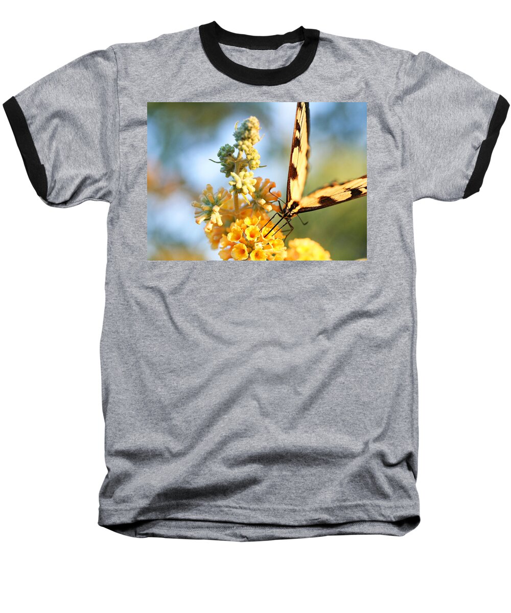 Butterfly Baseball T-Shirt featuring the photograph Butterfly at Work by Trina Ansel