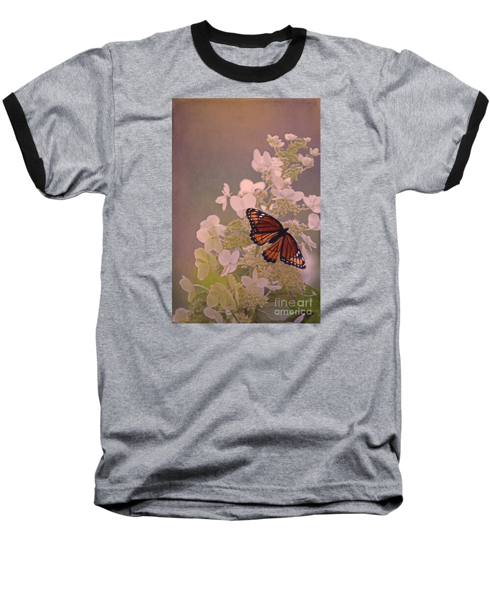 Viceroy Butterfly. White Flower Baseball T-Shirt featuring the photograph Butterfly Glow by Elizabeth Winter