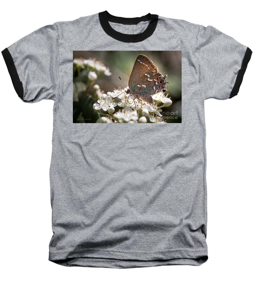 Flowers Baseball T-Shirt featuring the photograph Butterfly In The Garden by Todd Blanchard