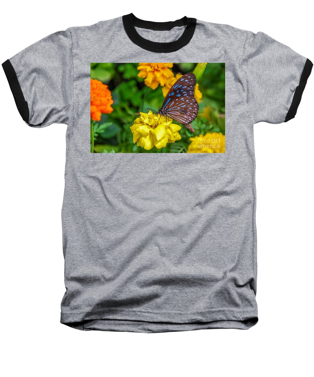 Butterfly Baseball T-Shirt featuring the photograph Butterfly On Yellow Marigold by Mary Carol Story