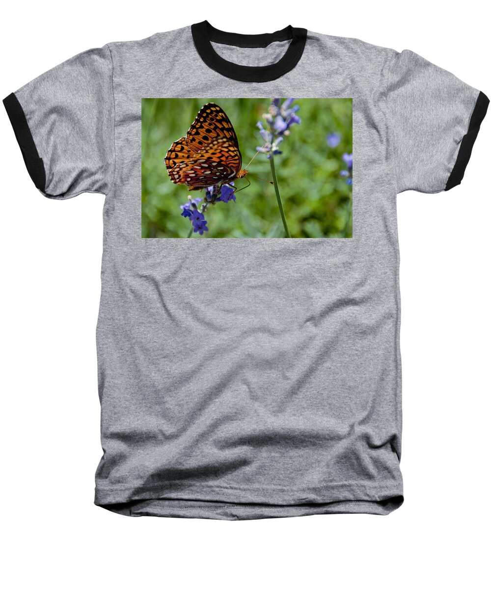 Butterfly Baseball T-Shirt featuring the photograph Butterfly Visit by Ron White