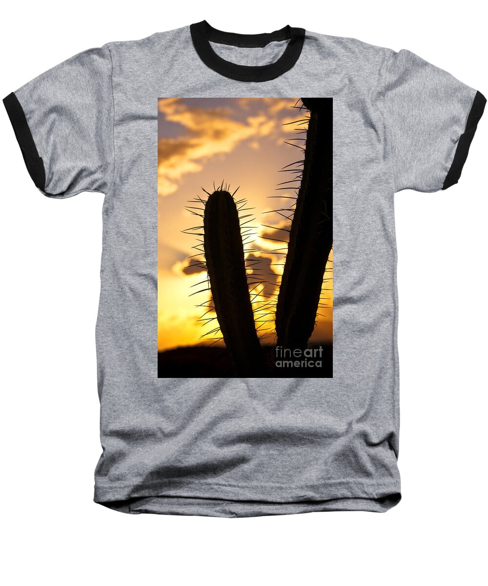 Cactus Baseball T-Shirt featuring the photograph Cactus Sunset by James Lavott