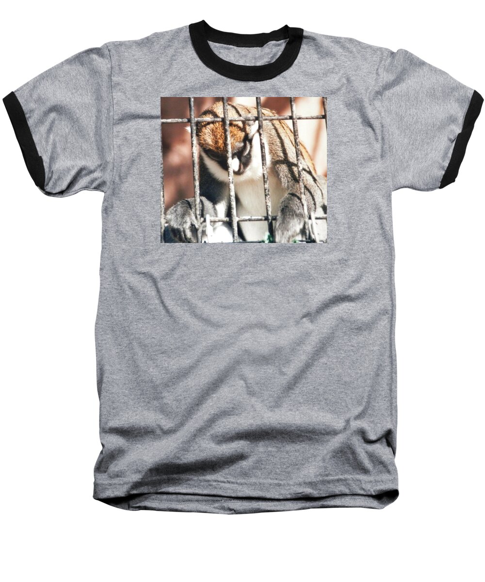 Caged Monkey With His Head Bent Down In Prayer ...holding On To The Bars Baseball T-Shirt featuring the photograph Caged but Strong by Belinda Lee