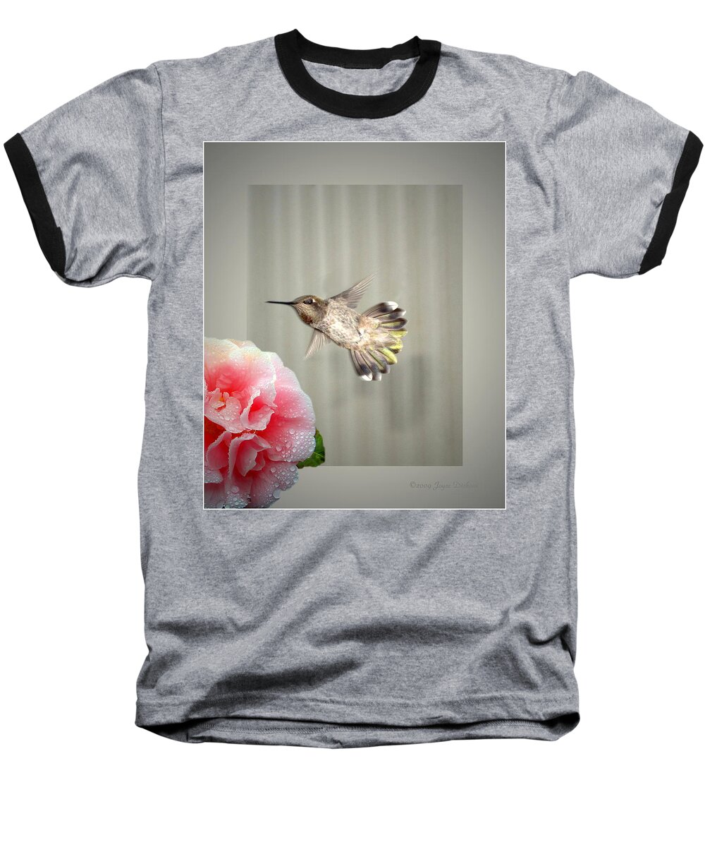 Hummingbird Baseball T-Shirt featuring the photograph Camellia and Hummer by Joyce Dickens