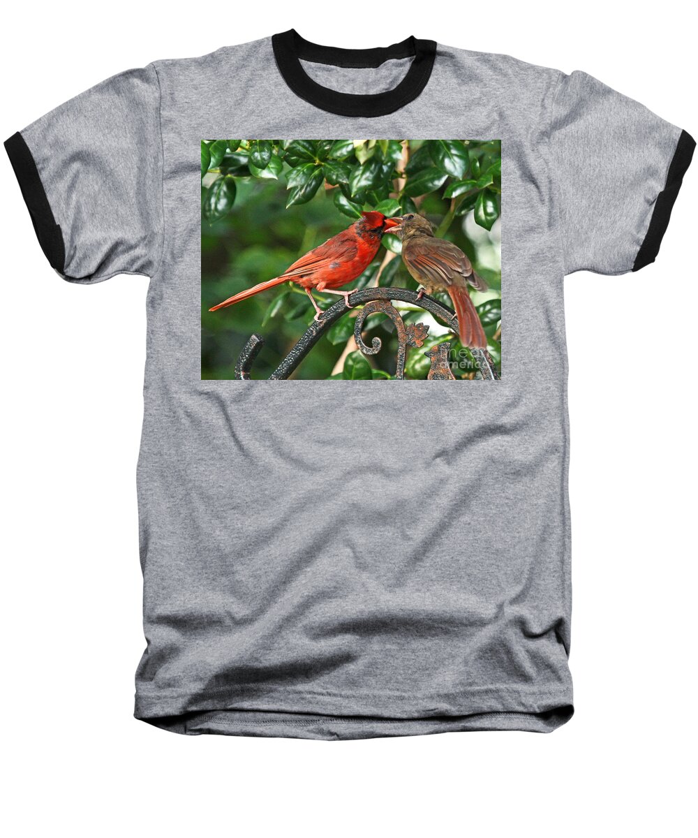 Red Cardinal Photo Baseball T-Shirt featuring the photograph Cardinal Bird Valentines Love by Luana K Perez