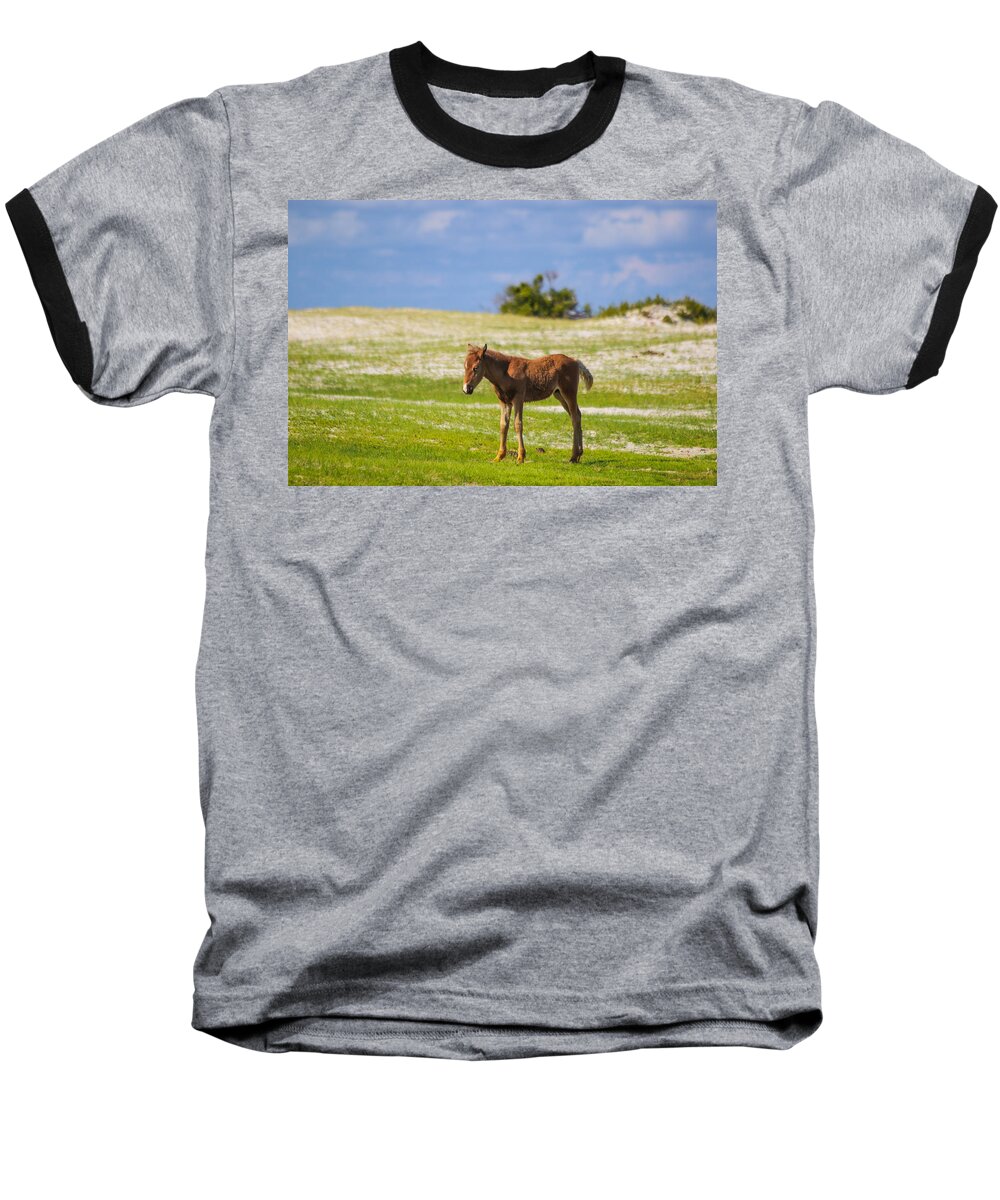 Wild Baseball T-Shirt featuring the photograph Cedar Island Wild Mustangs 41 by Paula OMalley