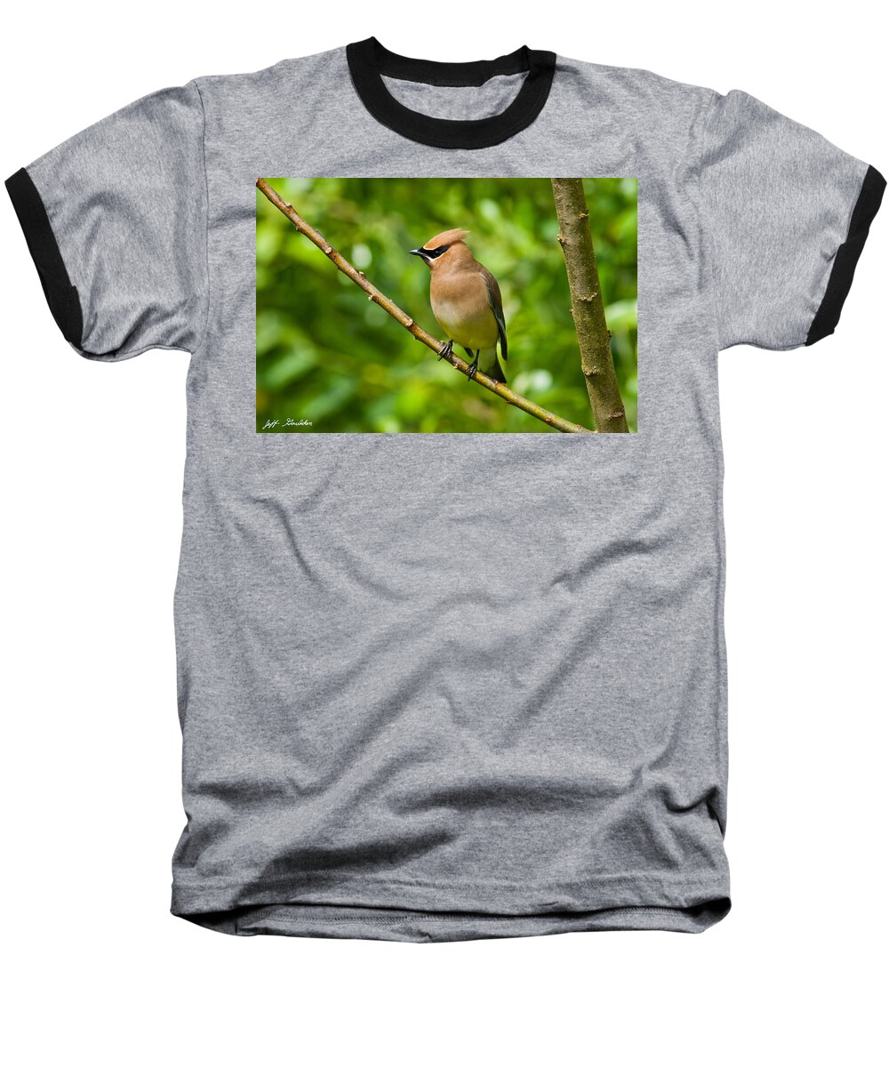 Animal Baseball T-Shirt featuring the photograph Cedar Waxwing Gathering Nesting Material by Jeff Goulden