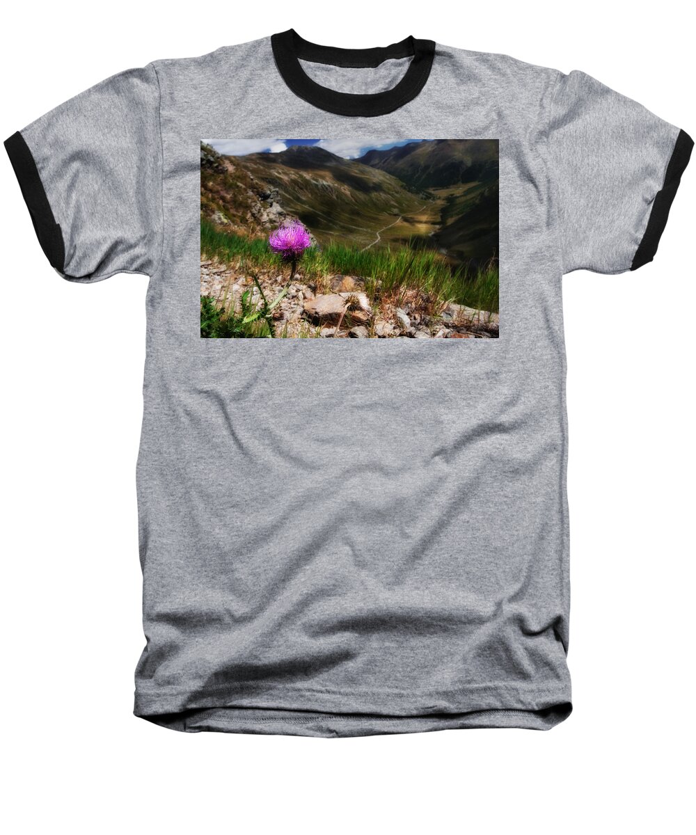A Look Through Lens Baseball T-Shirt featuring the photograph Centaurea by Roberto Pagani