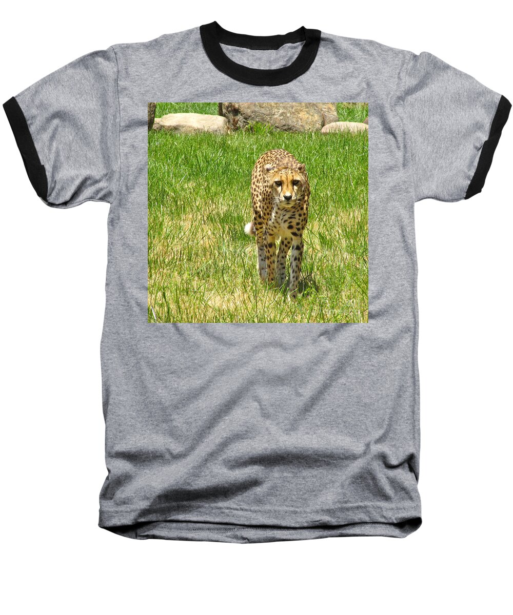 Cml Brown Baseball T-Shirt featuring the photograph Cheetah Approaching by CML Brown