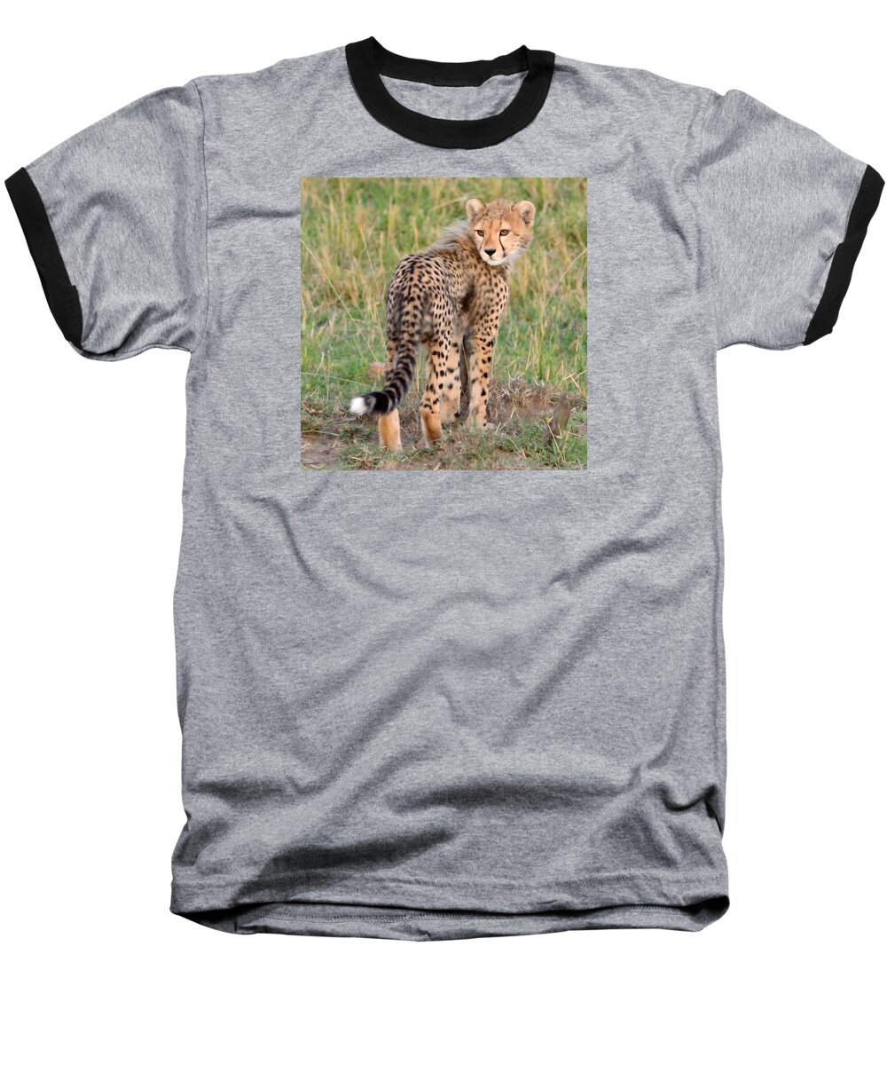 Cute Baseball T-Shirt featuring the photograph Cheetah Cub Looking Your Way by Tom Wurl