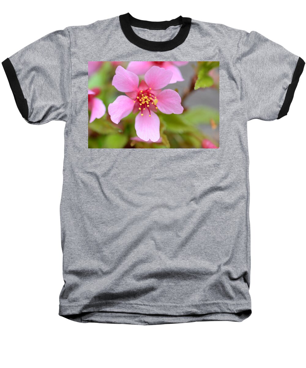 Cherry Blossom Baseball T-Shirt featuring the photograph Cherry Blossom by Lisa Phillips